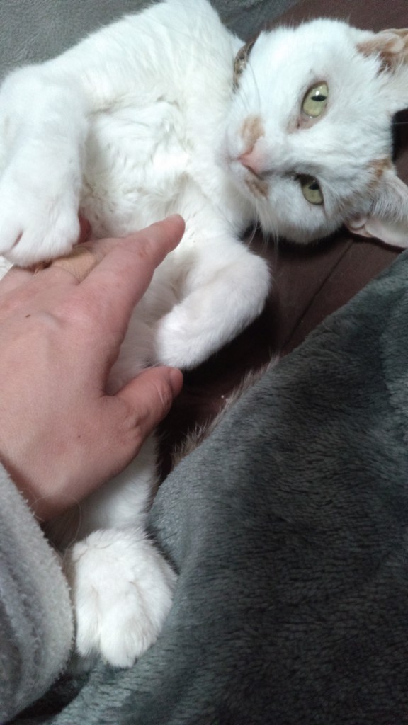 ユーザー写真
