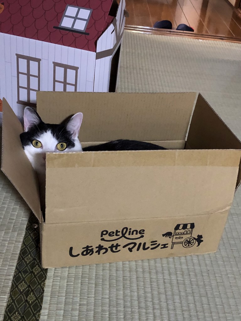 ユーザー写真