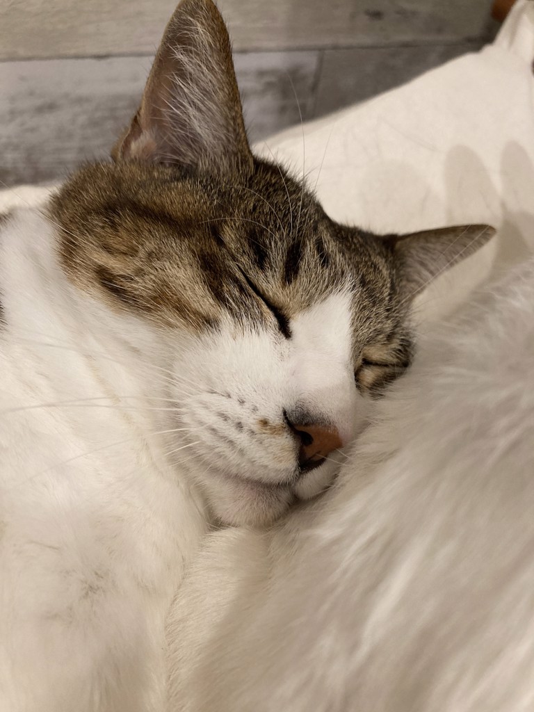 ユーザー写真