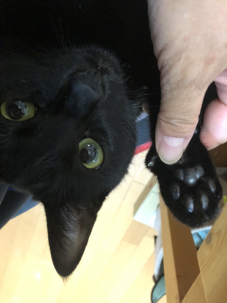 ユーザー写真
