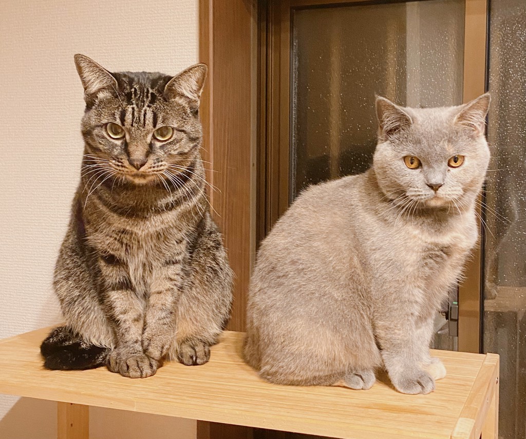 ユーザー写真