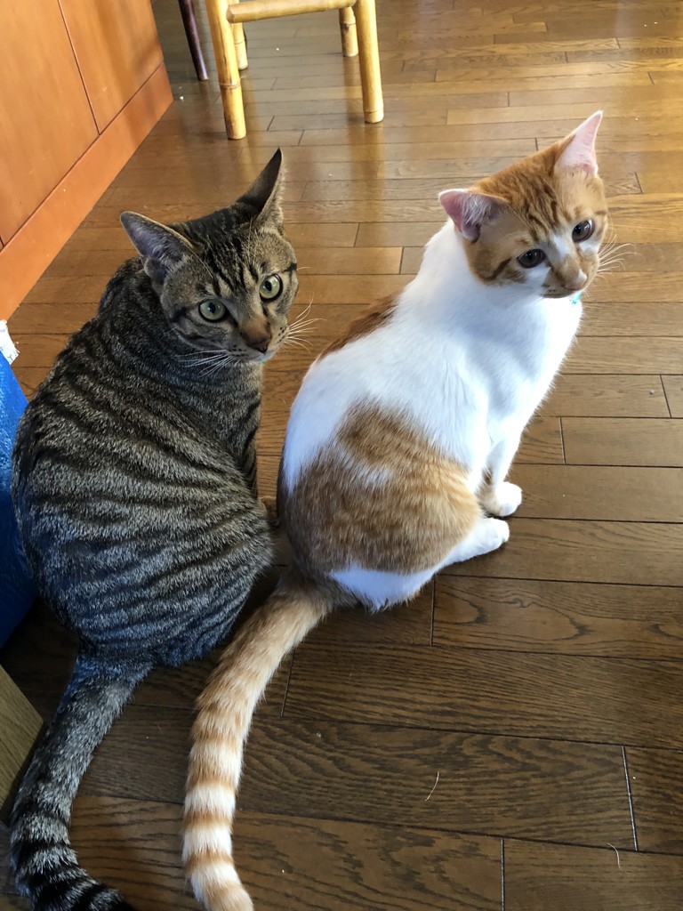 ユーザー写真
