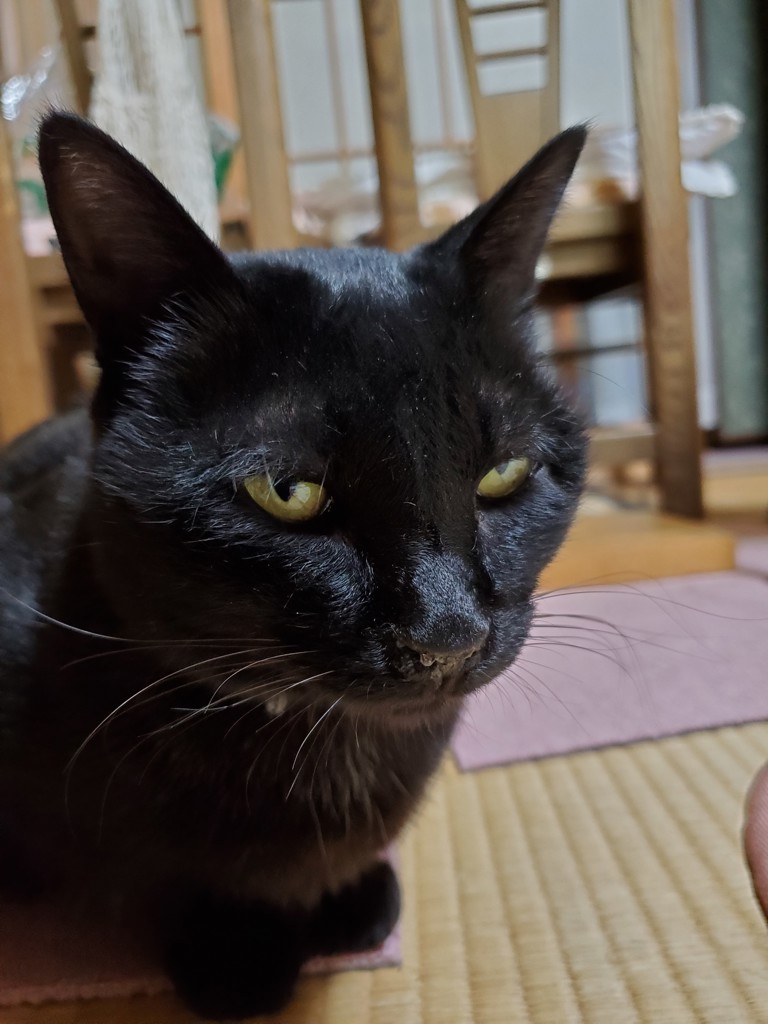 ユーザー写真