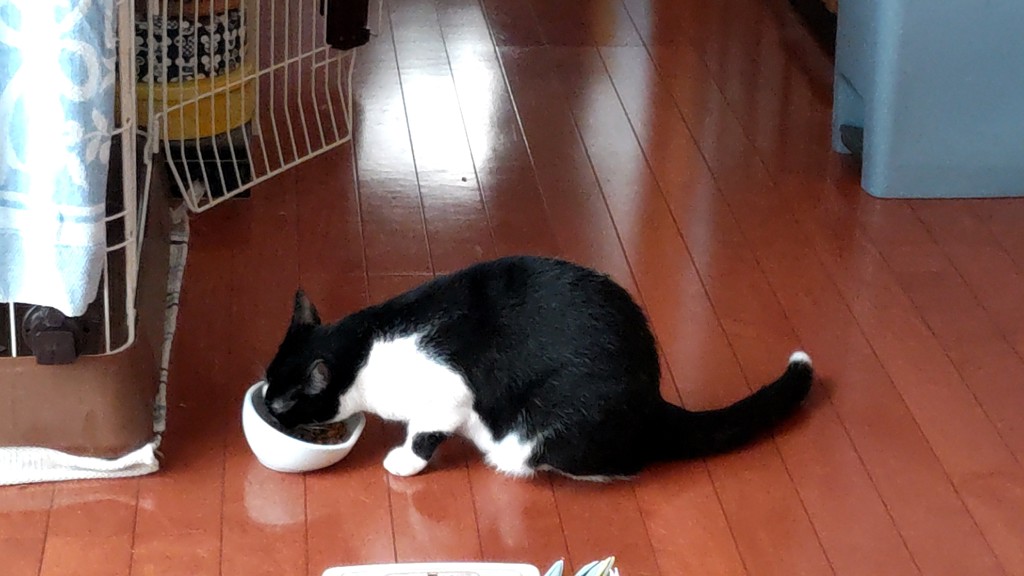 ユーザー写真