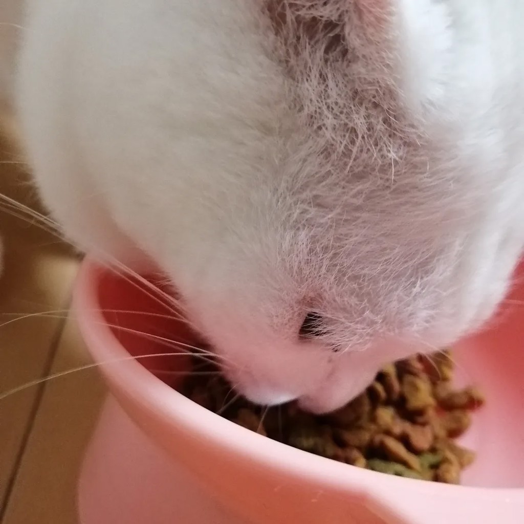 ユーザー写真
