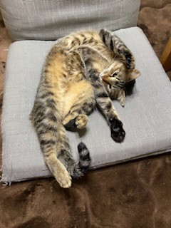 ユーザー写真