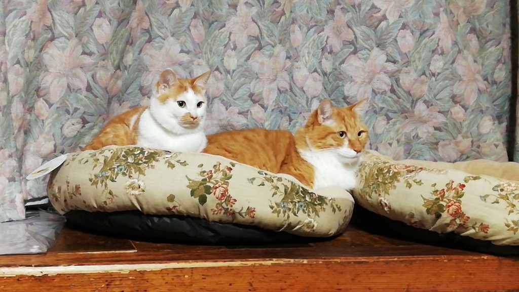 ユーザー写真