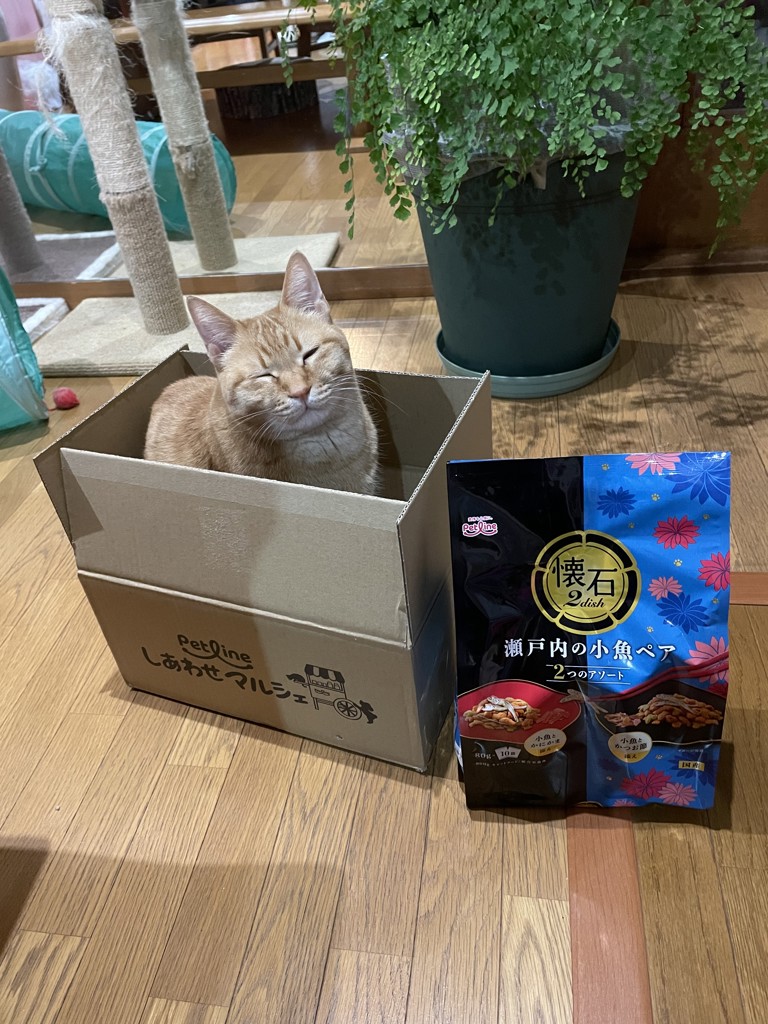 ユーザー写真