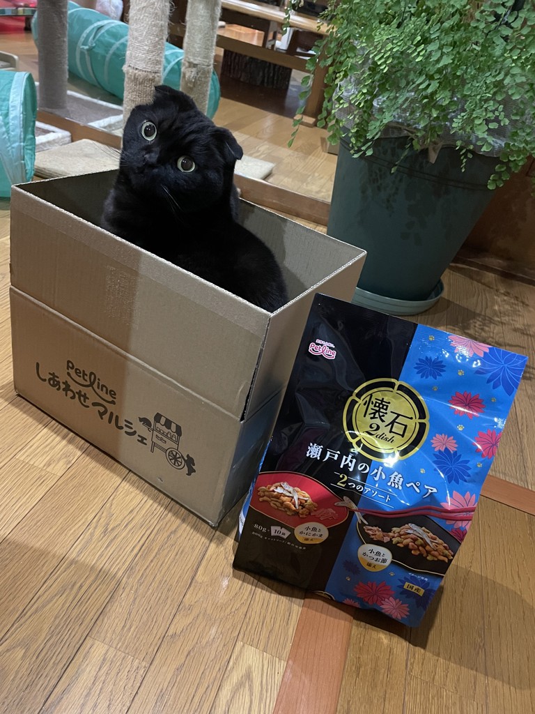 ユーザー写真
