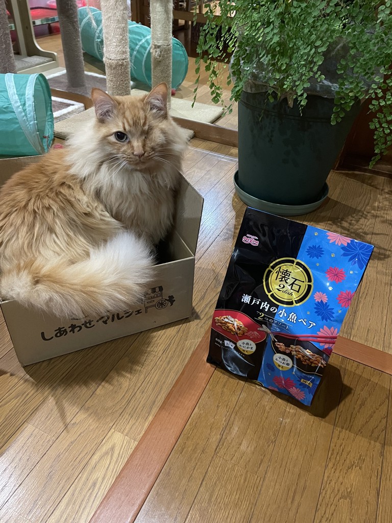 ユーザー写真