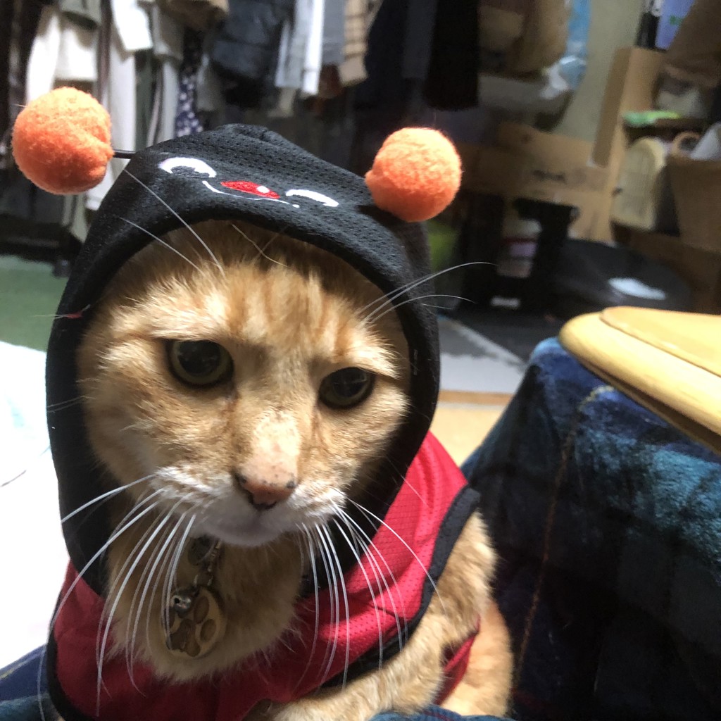 ユーザー写真