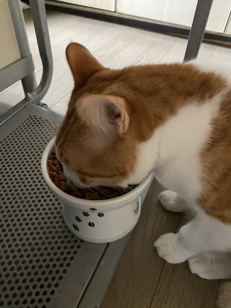 ユーザー写真