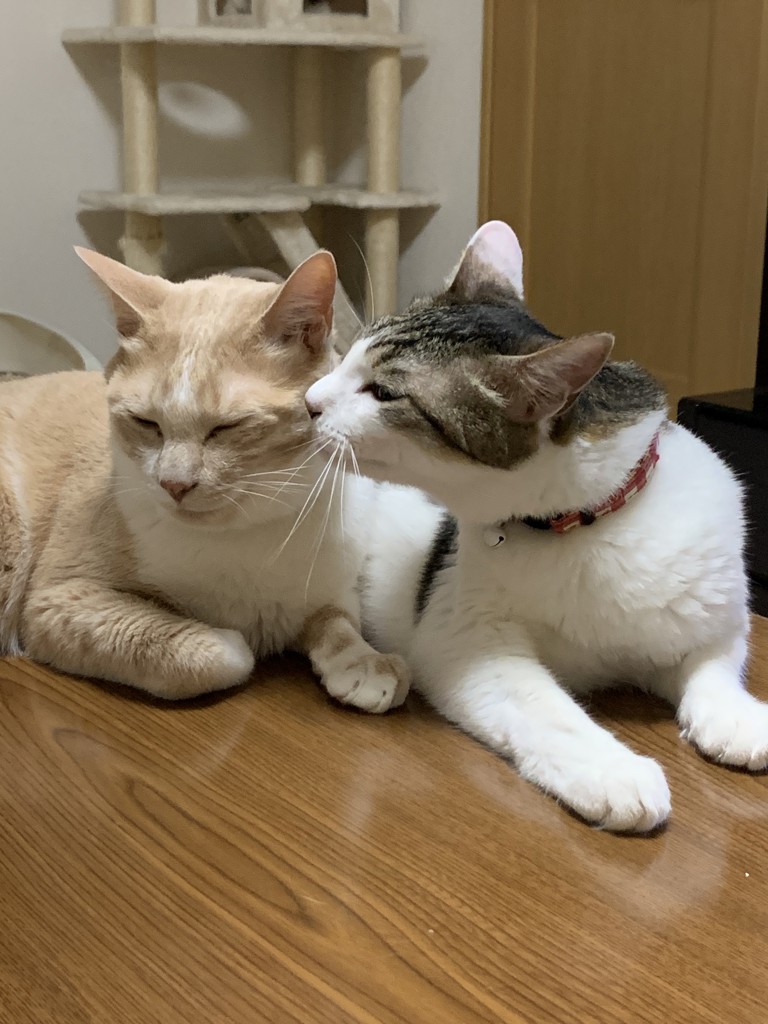 ユーザー写真