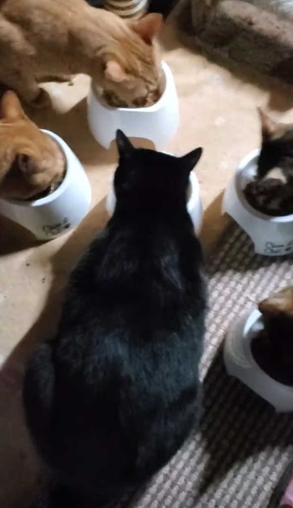 ユーザー写真