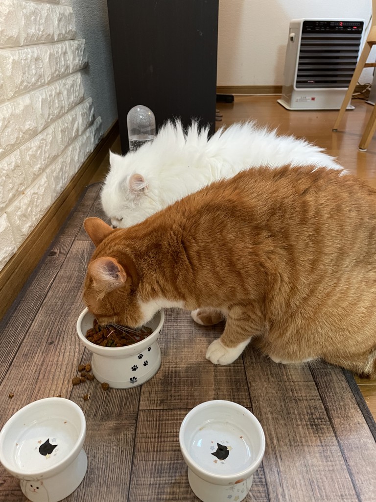 ユーザー写真