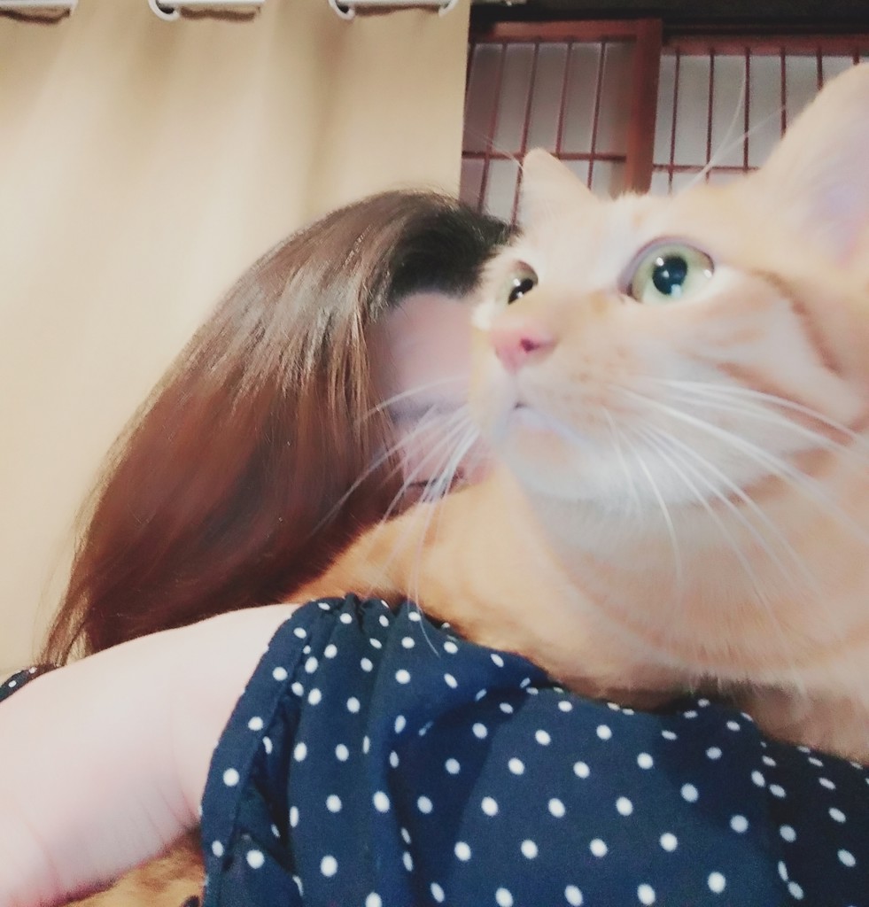 ユーザー写真