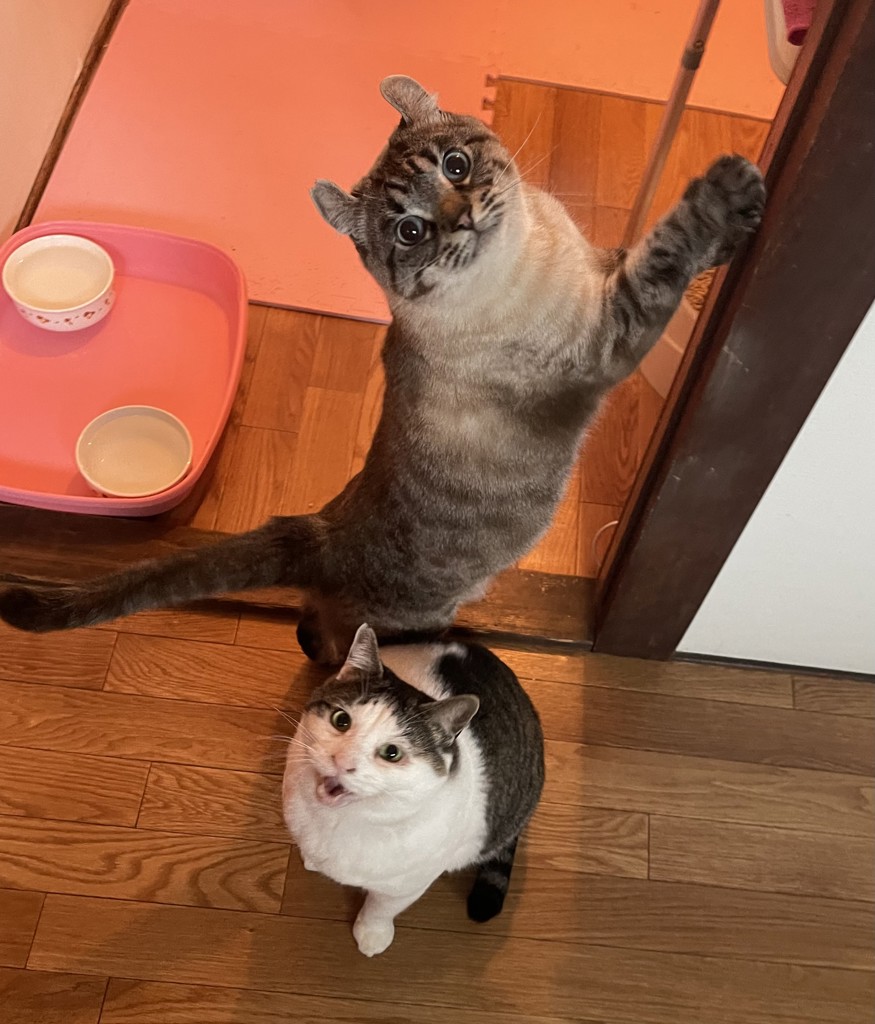 ユーザー写真