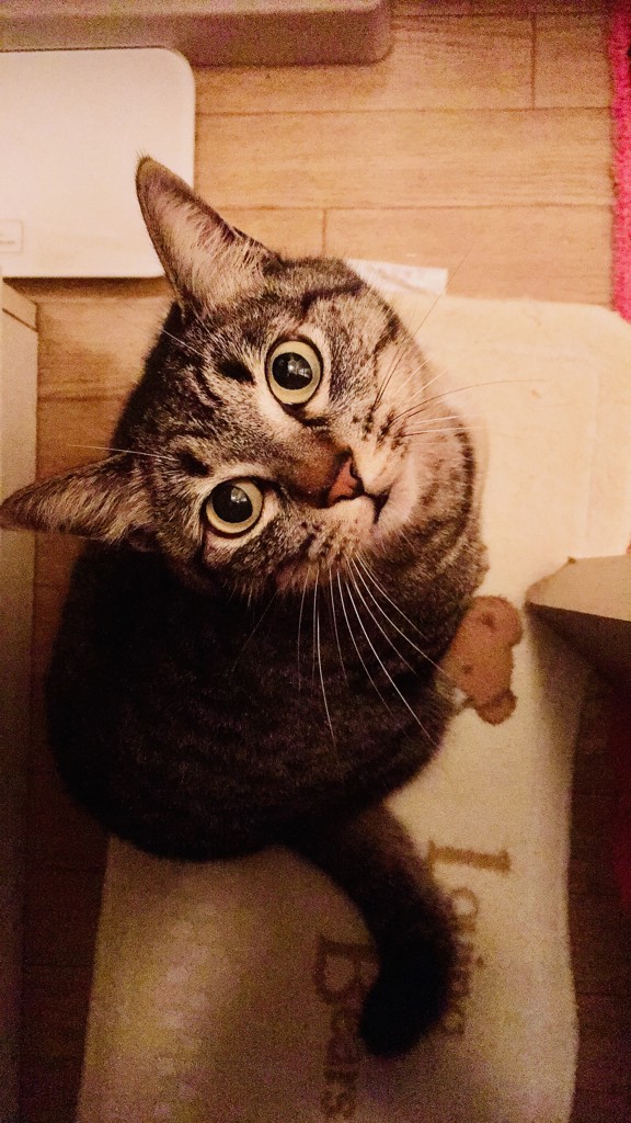 ユーザー写真