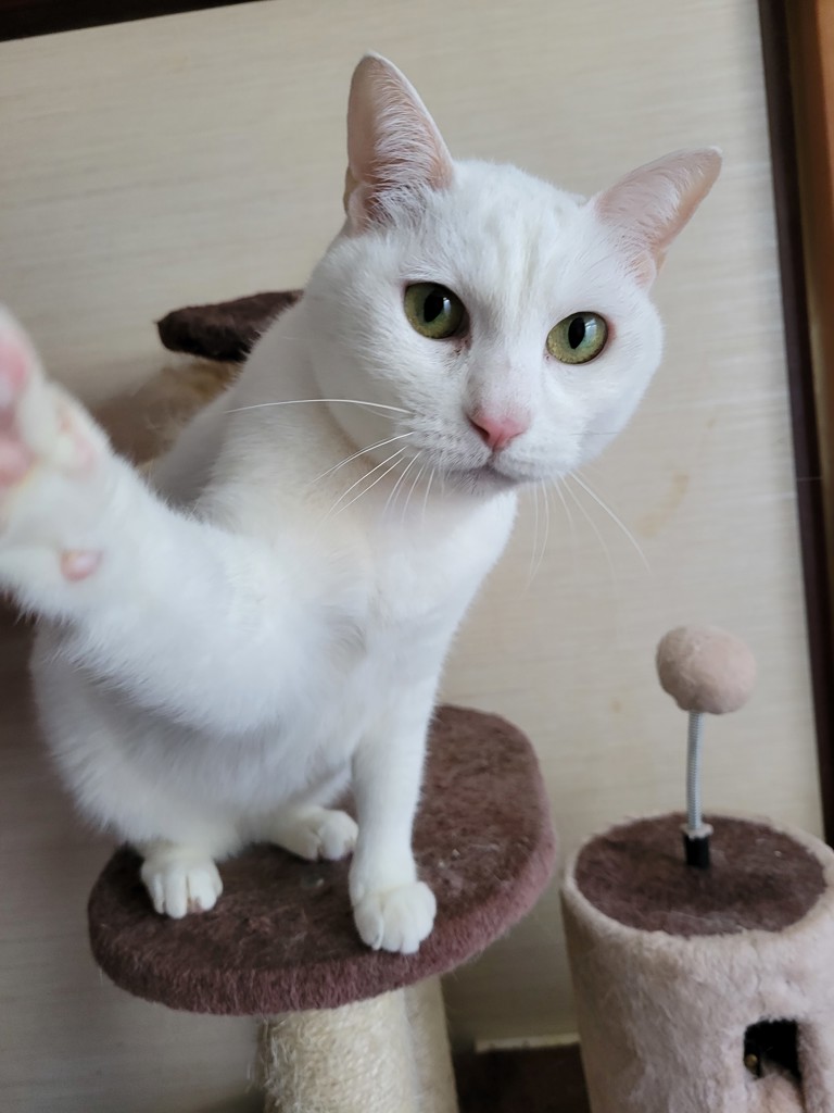 ユーザー写真