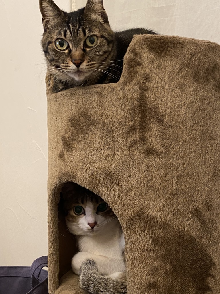 ユーザー写真