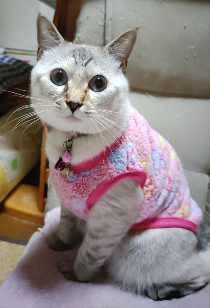 ユーザー写真