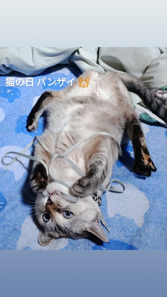 ユーザー写真