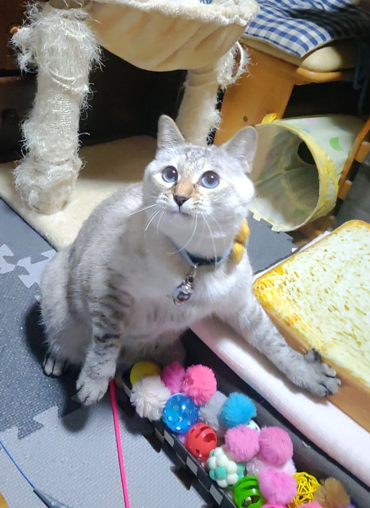 ユーザー写真