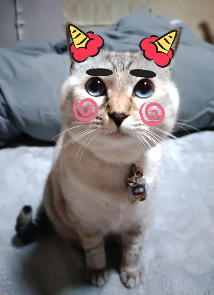 ユーザー写真