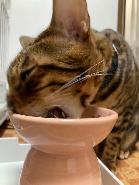 ユーザー写真