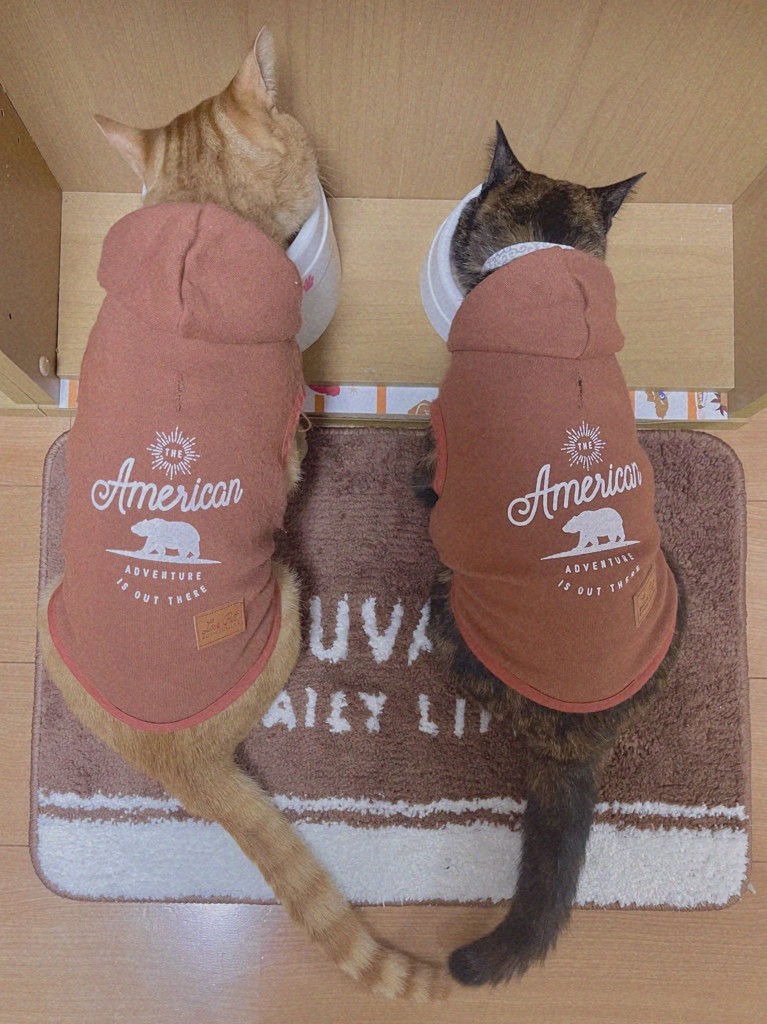 ユーザー写真