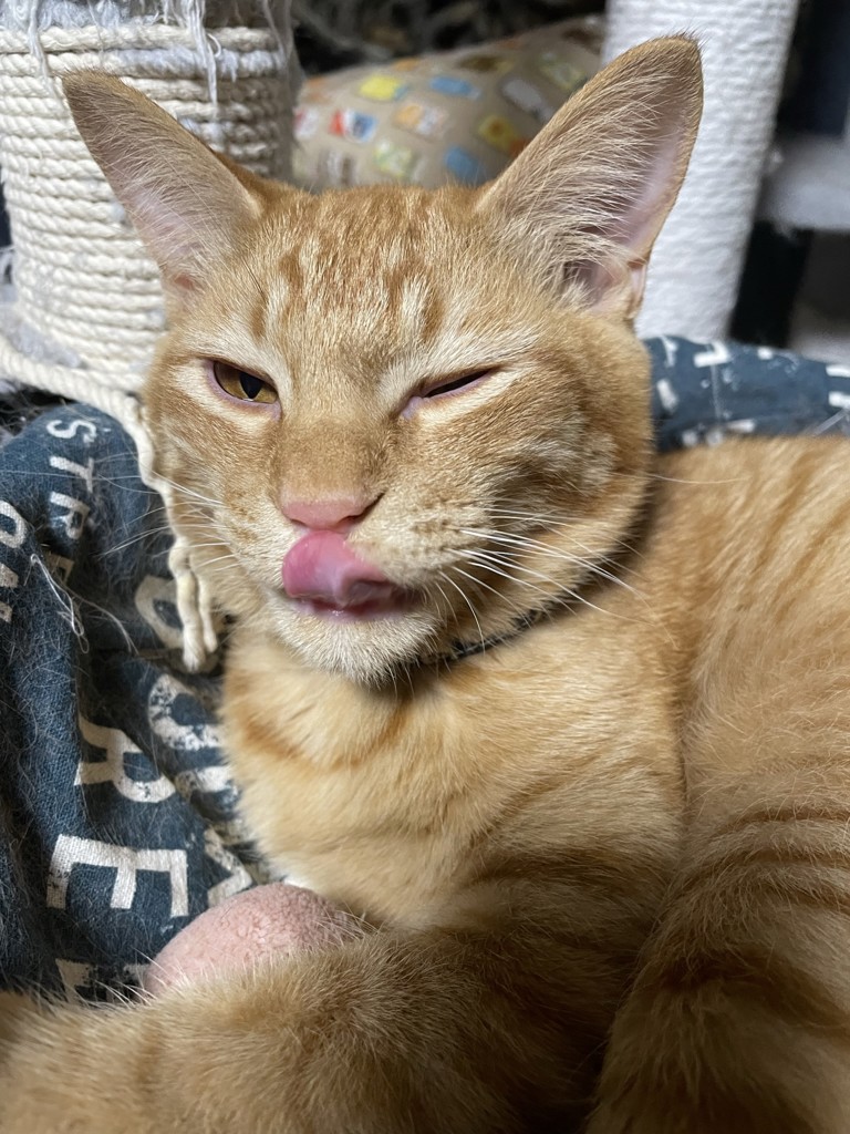 ユーザー写真