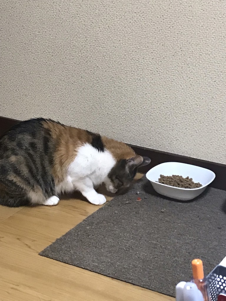 ユーザー写真