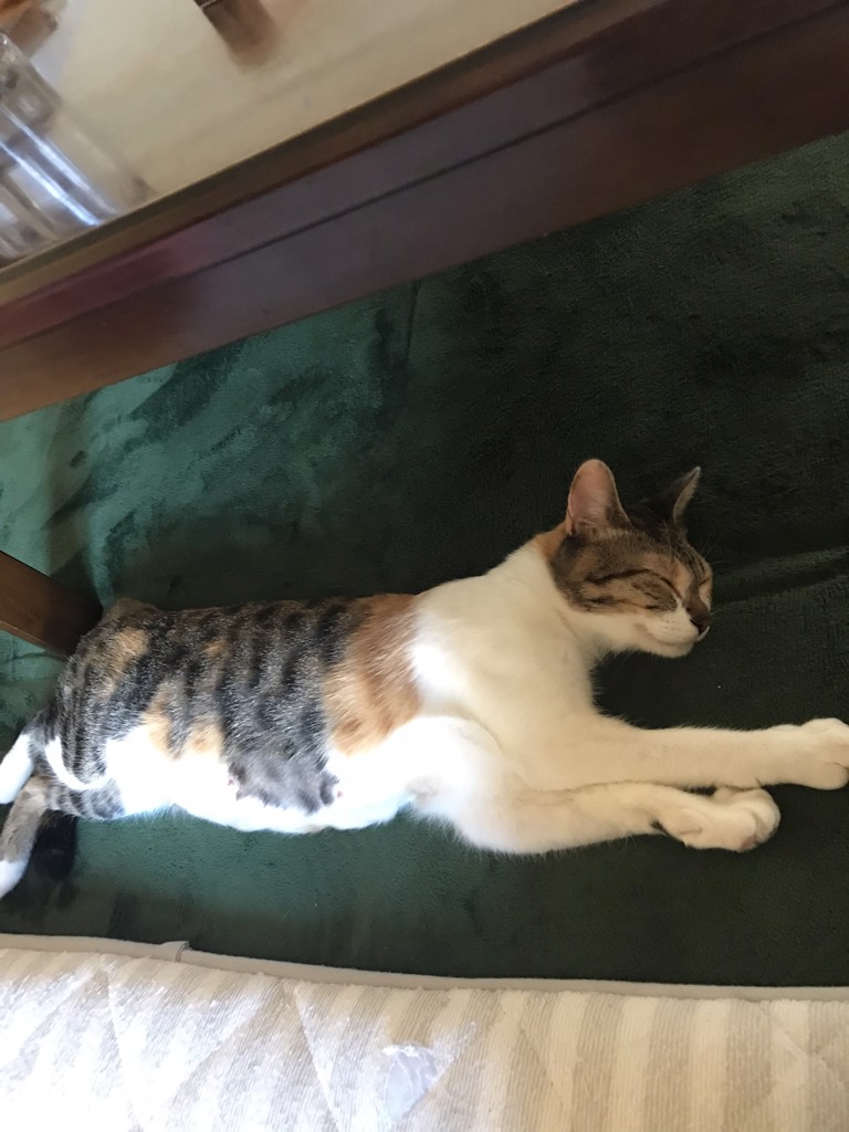 ユーザー写真