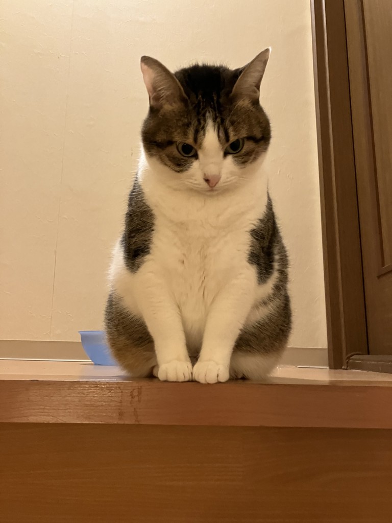 ユーザー写真