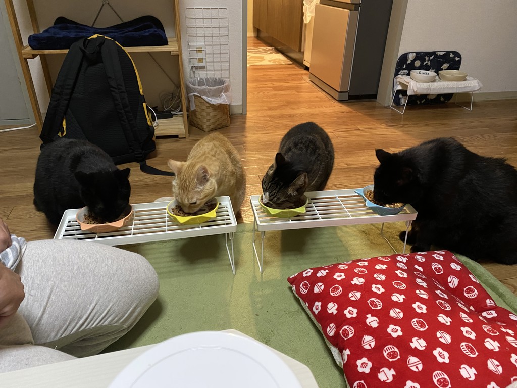 ユーザー写真
