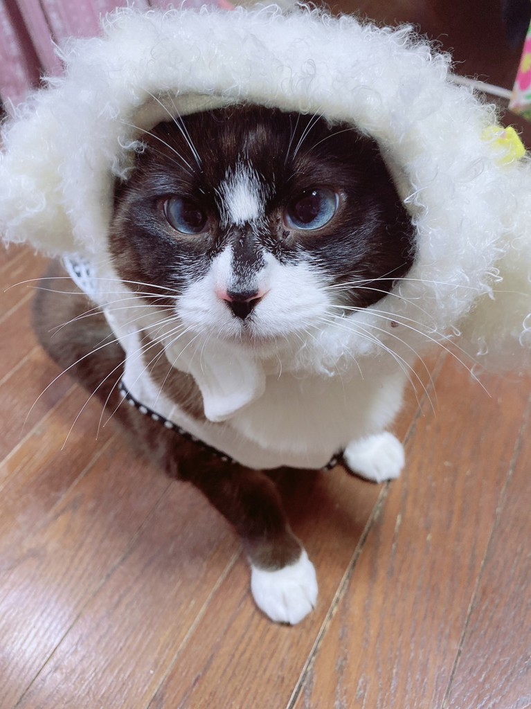 ユーザー写真