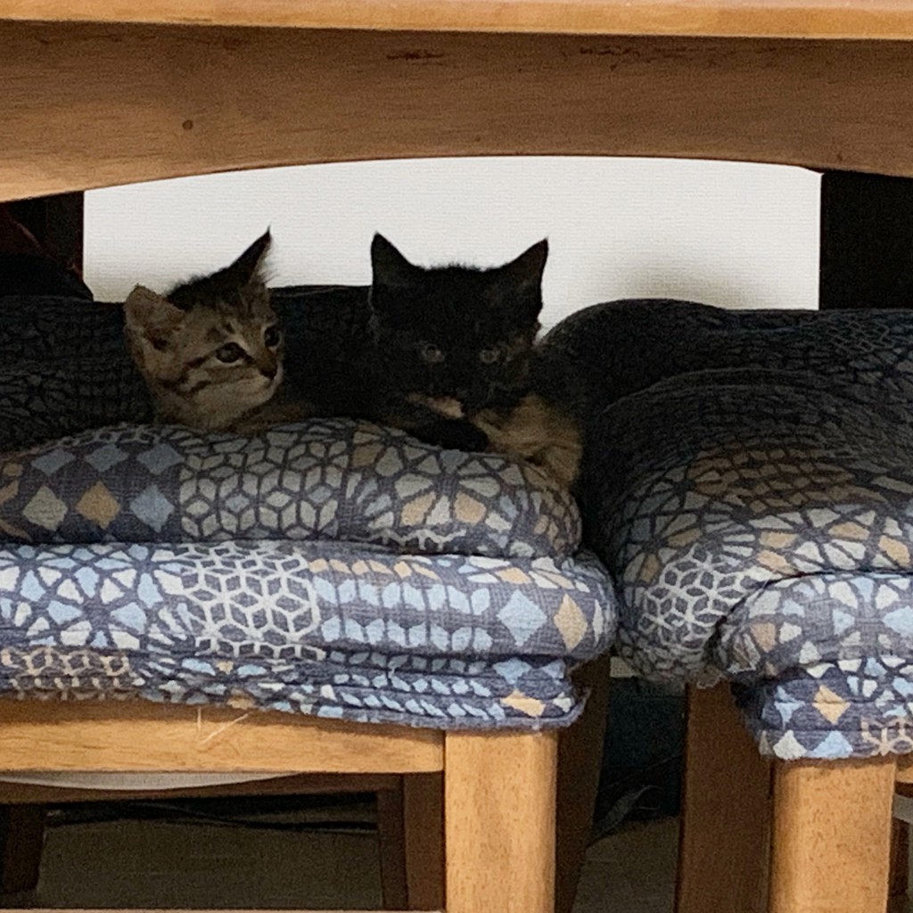 ユーザー写真