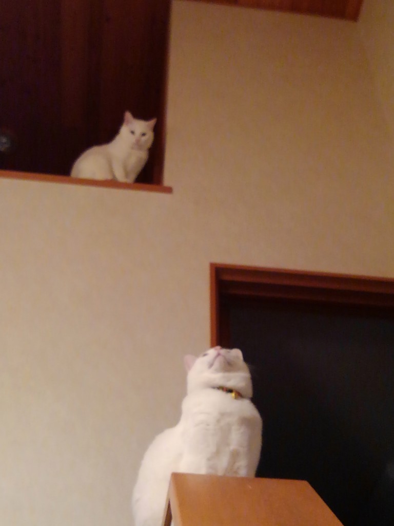 ユーザー写真