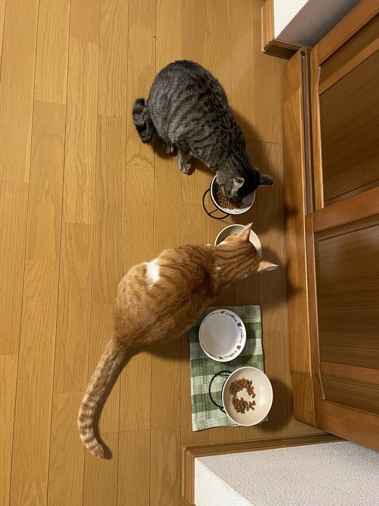 ユーザー写真