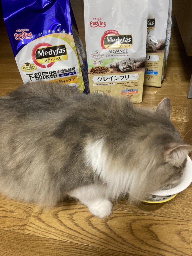 ユーザー写真