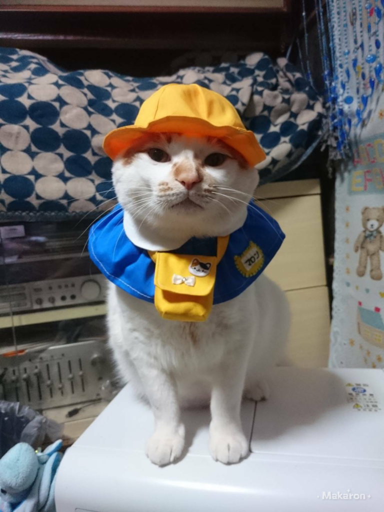ユーザー写真
