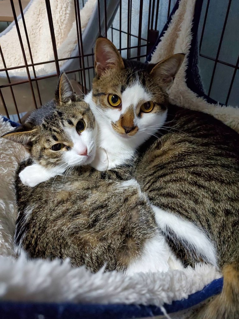 ユーザー写真
