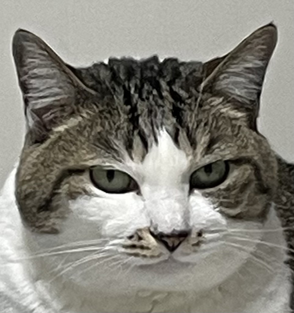 投稿写真
