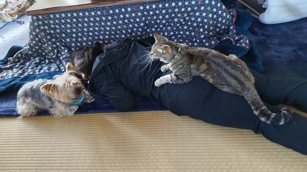 投稿写真