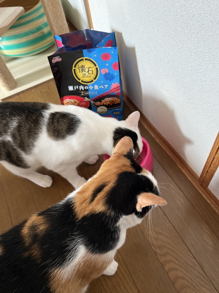 投稿写真