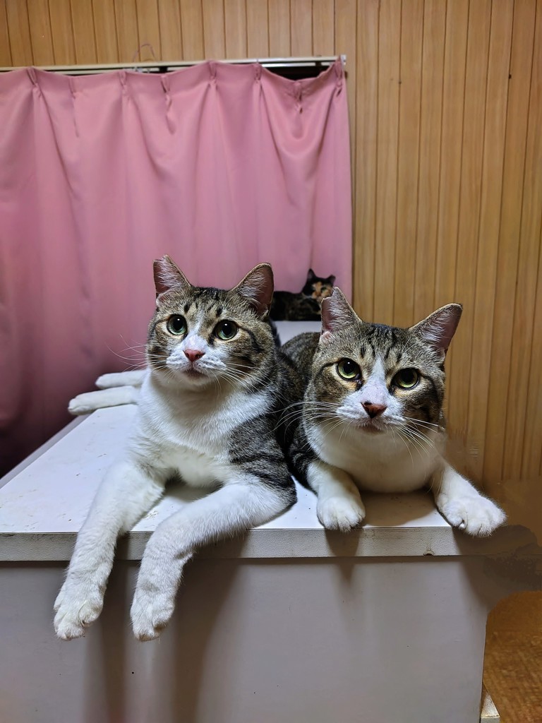 ユーザー写真