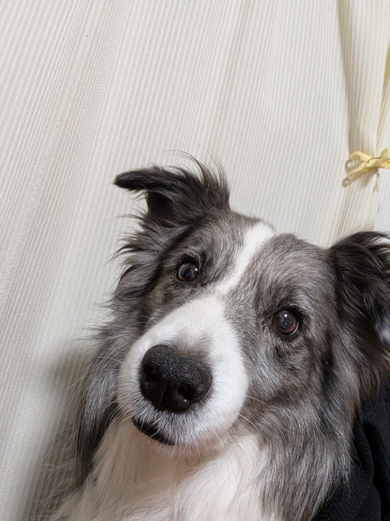 ユーザー写真