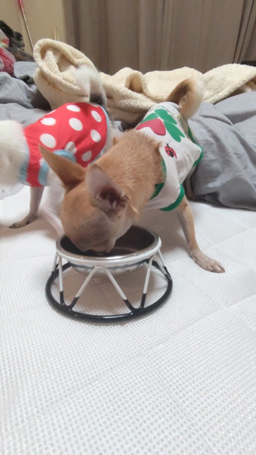 投稿写真