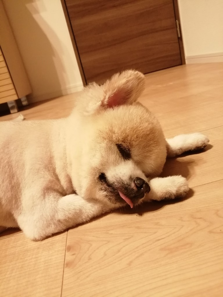 投稿写真