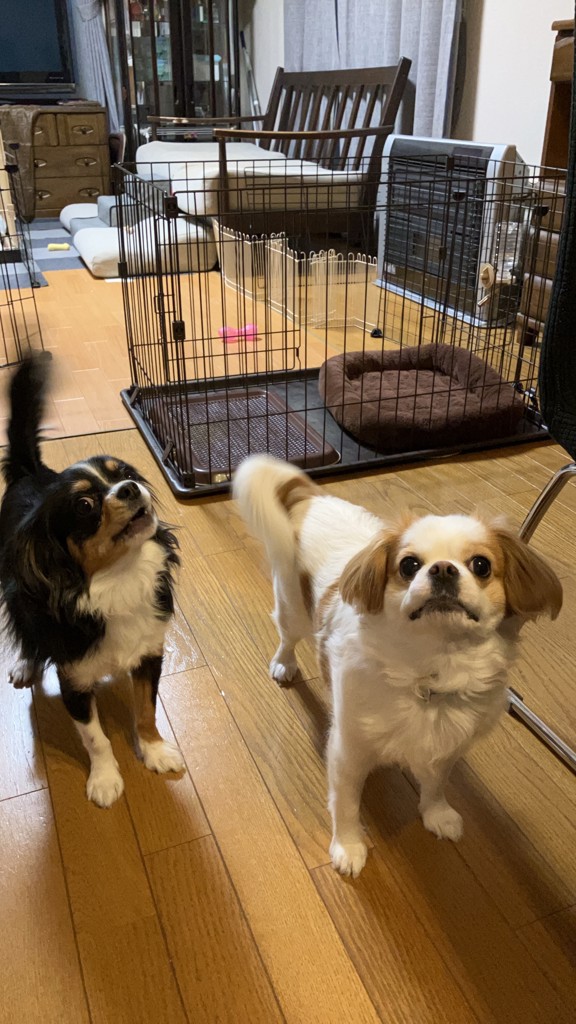 ユーザー写真